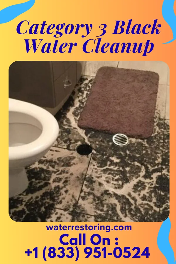 Category 3 Black Water Cleanup in Gallup, NM