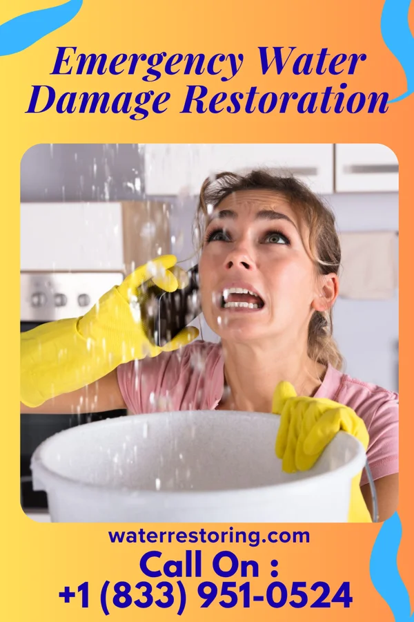 Emergency Water Damage Restoration in Gallup, NM