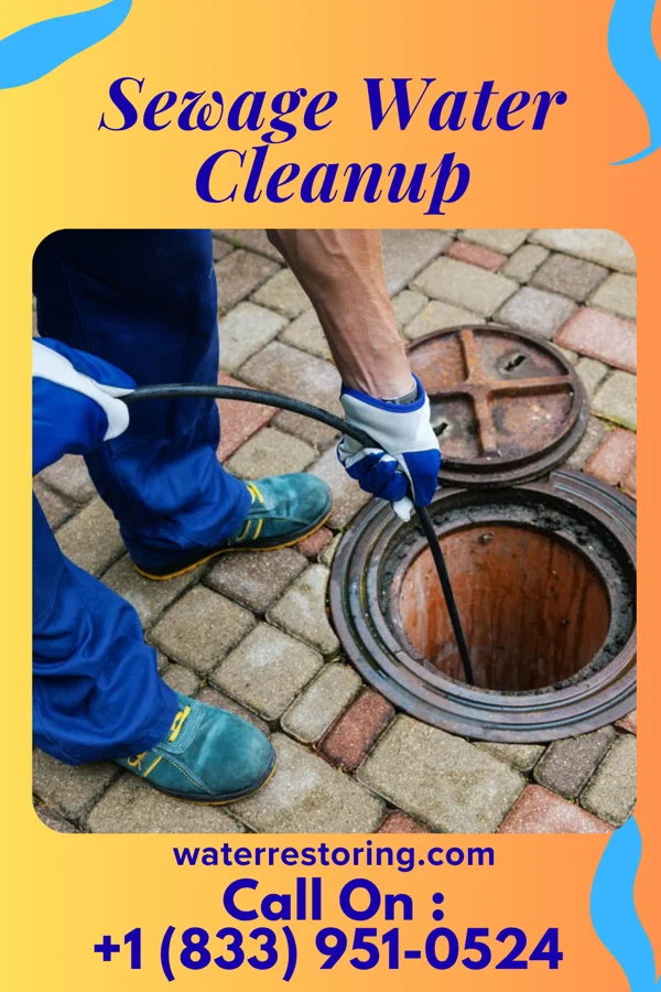 Sewage Water Cleanup in Gallup, NM